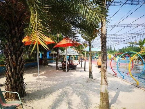 夏日戏水指南 崇州水上乐园，畅享露天游乐新体验