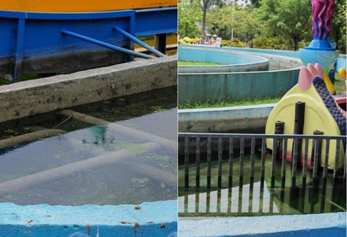 福建省消委会发布儿童游乐场所测评报告 遛娃场所暗藏消费风险